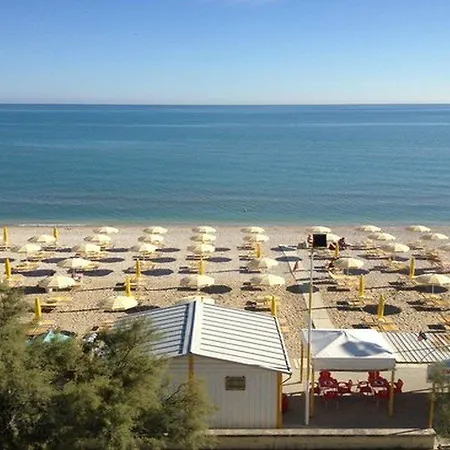 Rex 3* Senigallia
